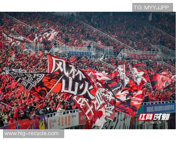 澳南超精彩对决阿德莱德彗星迎战地铁之星展现足球魅力